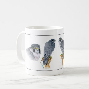 Peregrine Falconry Mug