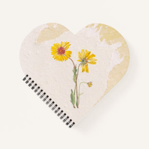 Perennial Gaillardia Flower Notebook