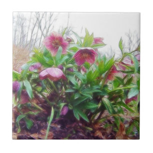 Perennial Hellebore Plants In The Garden Ceramic Tile