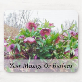 Perennial Hellebore Plants In The Garden Mouse Pad