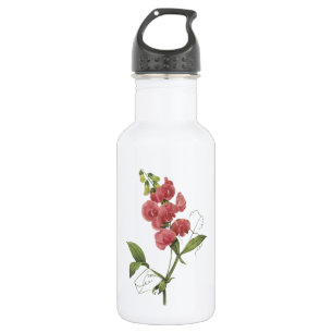 perennial sweet pea by Redouté 532 Ml Water Bottle