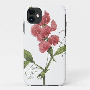 perennial sweet pea by Redouté iPhone 11 Case