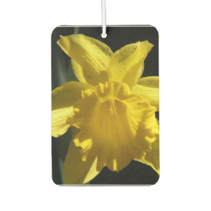 Perfect Daffodil Car Air Freshener