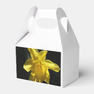 Perfect Daffodil Favour Box