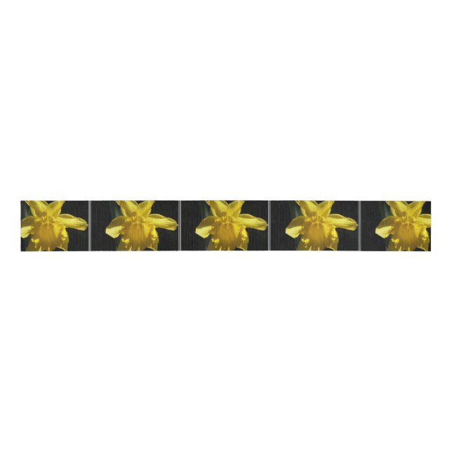 Perfect Daffodil Grosgrain Ribbon (Front)