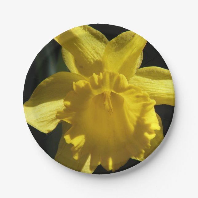 Perfect Daffodil Paper Plate (Front)