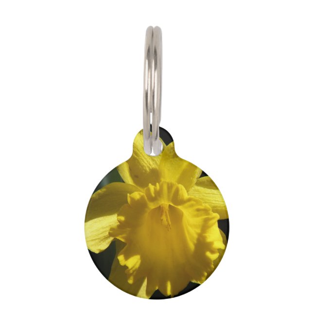 Perfect Daffodil Pet Tag (Front)