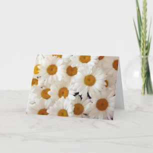 Perfect Daisies Greeting Cards