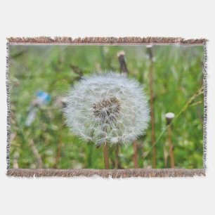 Perfect Dandelion – Botanical Macro Photography Throw Blanket