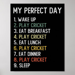 Perfect Day Cricket Shirts Men Boys Teen Cricket  Poster