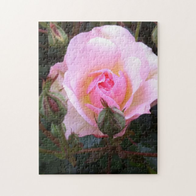 Perfect English Rose Jigsaw Puzzle (Vertical)