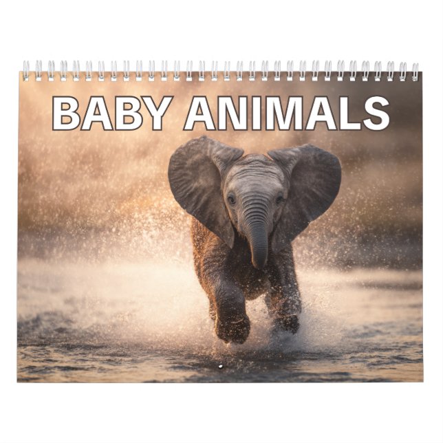 Perfect Gift for Animal Lovers | Baby Animals Wall Calendar (Cover)