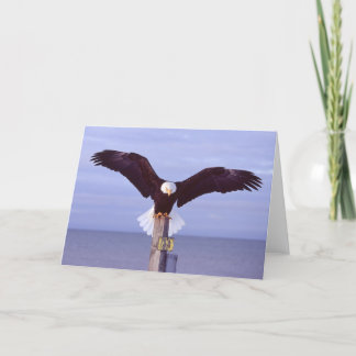 Perfect Landing Greeting Card