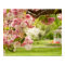 Perfect landscaping with blooming cherry tree in