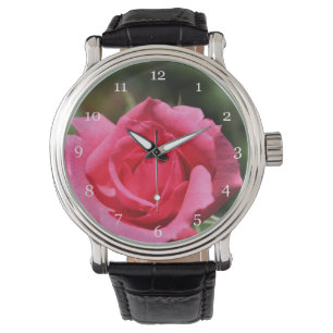 perfect, lovely summer hot pink rose flower photo watch