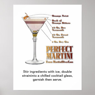 Perfect Martini Cocktail Recipe Art 16" x 20"  Poster