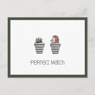 Perfect Match   Cute Hedgehog & Cactus Love Postcard