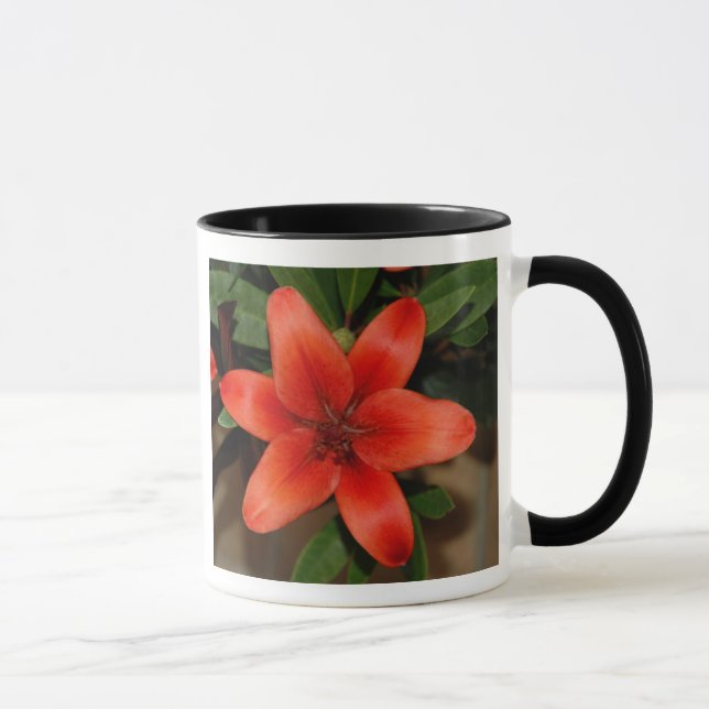 Perfect Orange Lily Flower Mug (Right)