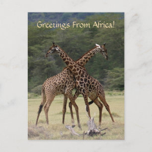 Perfect Partners - Postcard