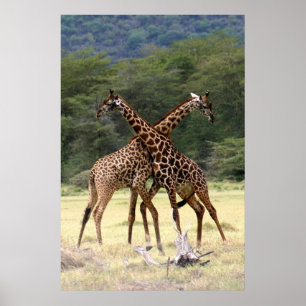 Perfect Partners - Print