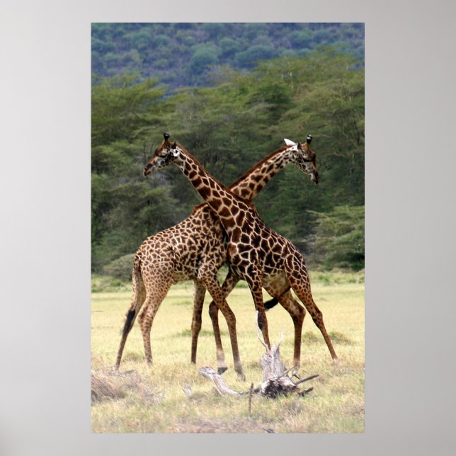 Perfect Partners - Print (Front)