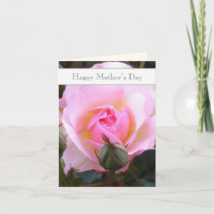 Perfect pink editable English Rose   Card