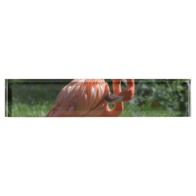 Perfect Pink Flamingo Nameplate (Front)