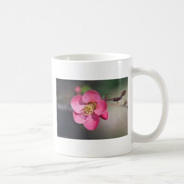 Perfect Pink Flowering Quince Coffee Mug (Right)