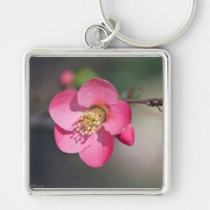 Perfect Pink Flowering Quince Key Ring