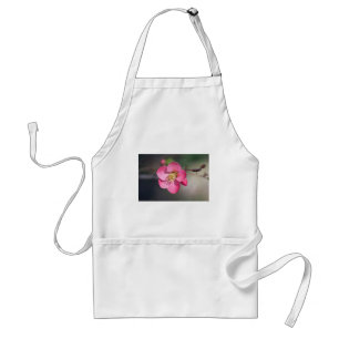 Perfect Pink Flowering Quince Standard Apron