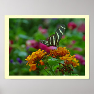 Perfect Place! Poster