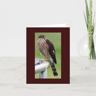 Perfect Profile Card