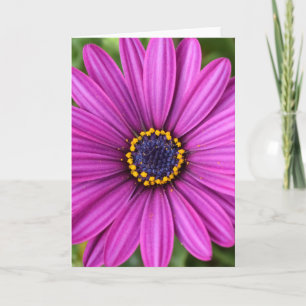 Perfect Purple Flower Head Card