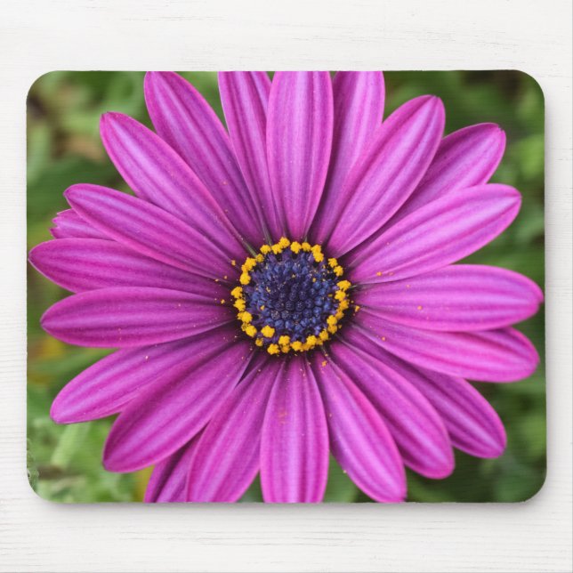 Perfect Purple Flower Head Mouse Pad (Front)