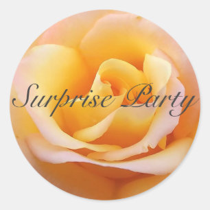 Perfect Rose - Surprise Party Classic Round Sticker