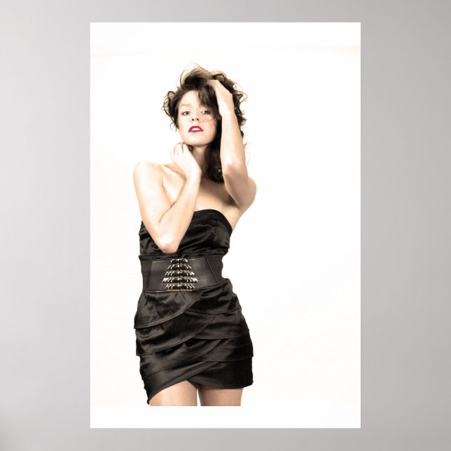 Perfect Salon Poster (Front)