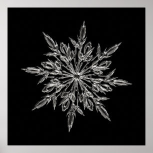 Perfect Snowflake for the Christmas Holiday Poster