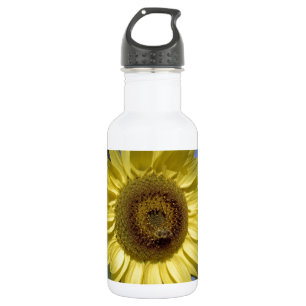 Perfect summer sunflower in blue sky. 532 ml water bottle