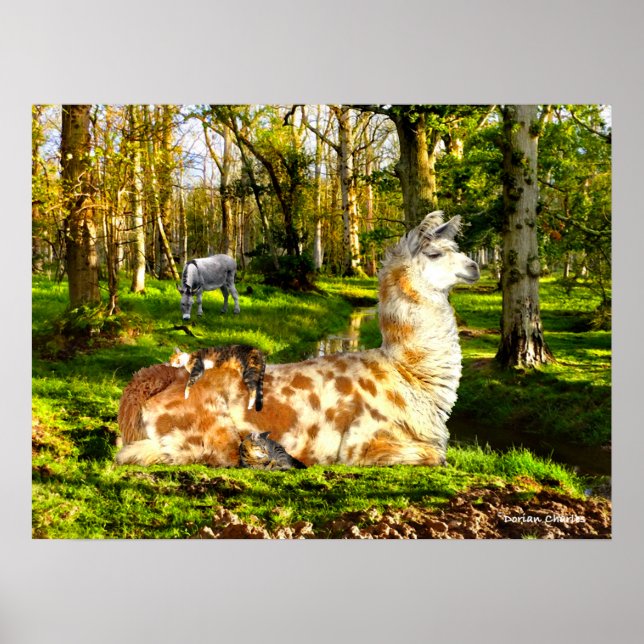 "Perfect Sunday Afternoon"  Poster (Front)