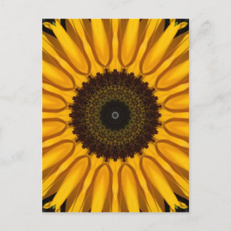Perfect Sunflower Postcard