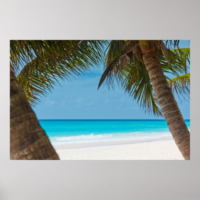 Perfect Tropical Paradise Beach Poster (Front)