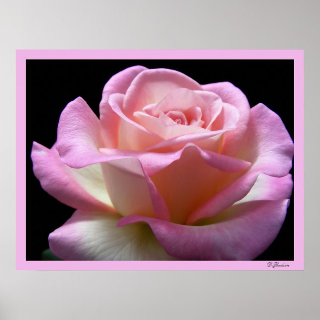 Perfection Poster (Front)