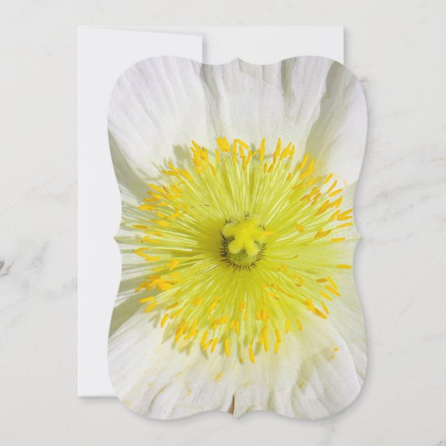 Perfectly Poppy  (Front)