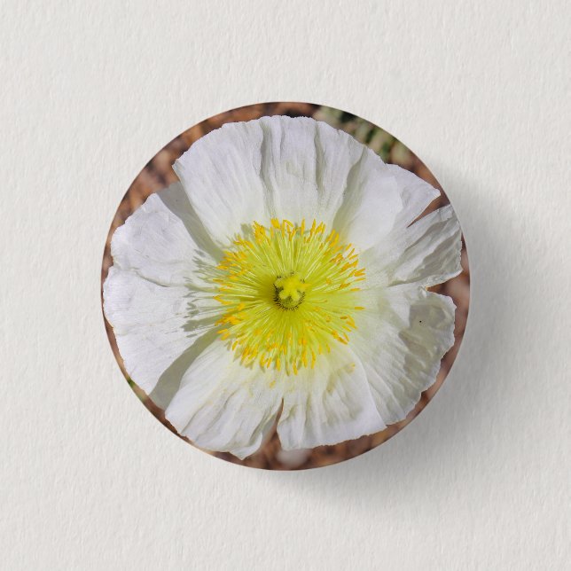 Perfectly Poppy  3 Cm Round Badge (Front)