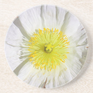 Perfectly Poppy  Coaster