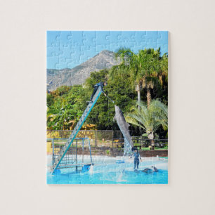 Performing dolphin jigsaw puzzle