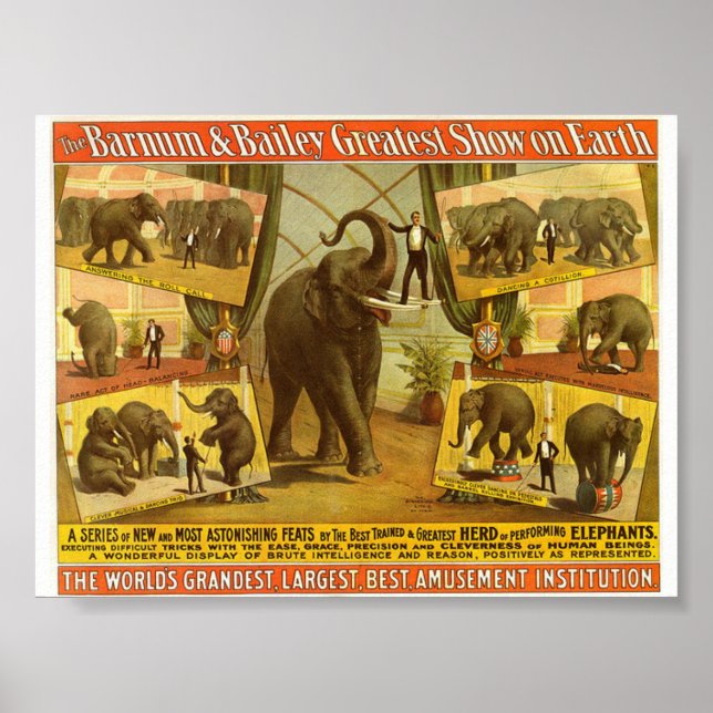 Performing Elephants Barnum & Bailey Circus Poster (Front)