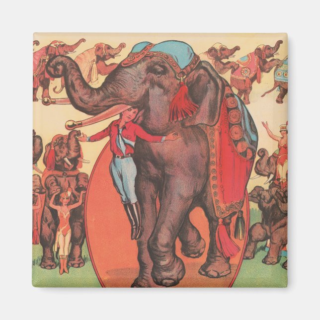 Performing Elephants With Women And Trainer. Magnet (Front)