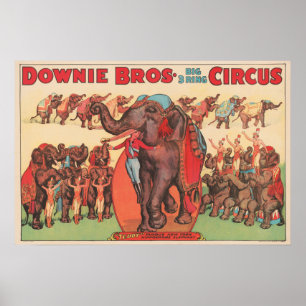 Performing Elephants With Women And Trainer. Poster