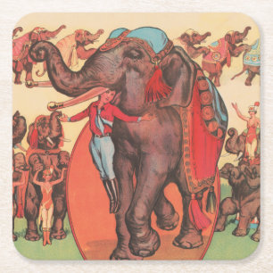 Performing Elephants With Women And Trainer. Square Paper Coaster